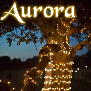 Aurora PRO solcelle lyskæde (100 LED, varm hvid)