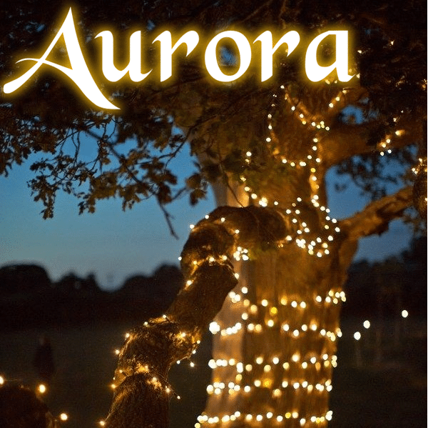Aurora PRO solcelle lyskæde (200 LED, varm hvid)